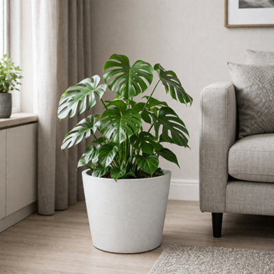 Fargro Home And Garden Bucket Round Planter White Polystone Outdoor Plant Pot 40Cm X 32Cm 30L Medium from B&Q
