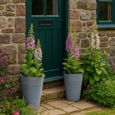 Fargro Home And Garden Vase Planter Light Grey Polystone Outdoor Tall Plant Pot 45Cm X 75Cm 83L Extra Large from B&Q