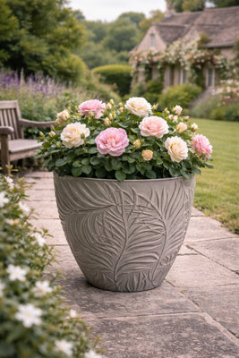 Fargro Home And Garden™ Fern Round PlanterGrey D22.8 X H20.5 Cm5L Indoor & Outdoor Plant Pot from B&Q