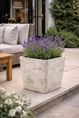 Fargro Home And Garden™ Tobi Mossed White Stone Effect Textured Square Planter L32.5 X W32.5 X H35 Cm Outdoor Plant Pot (2.5 Kg) from B&Q
