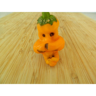 Monkey Face Yellow Chilli Seeds10 Fresh Seeds