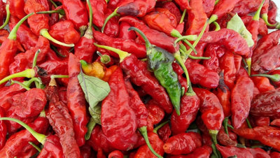 Black Ghost Chilli Seeds10 Fresh Seeds