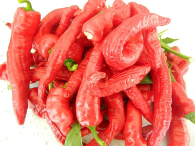 Cow Horn Chilli Seeds10 Fresh Seeds from B&Q