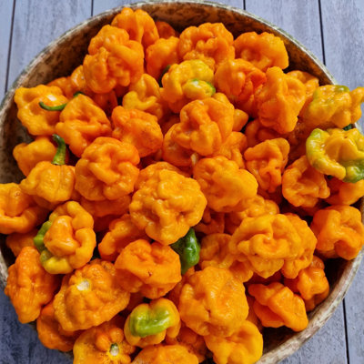 Scotch Bonnet Foodarama Yellow Chilli Seeds10 Fresh Seeds