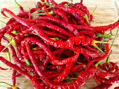 Hj4 Comets Tail Space Chilli Seeds10 Fresh Seeds