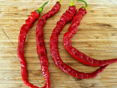 Hj5 Helix Nebula Space Chilli Seeds10 Fresh Seeds