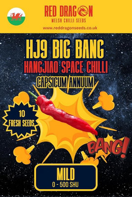 Hj9 Big Bang Space Chilli Seeds10 Fresh Seeds