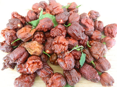 Jigsaw Chocolate Chilli Seeds10 Fresh Seeds from B&Q