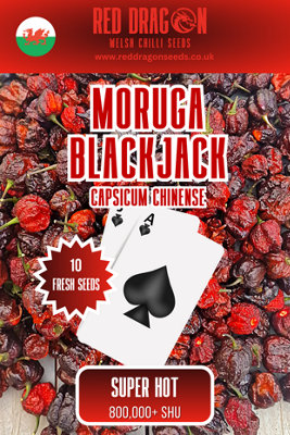 Moruga Blackjack Chilli Seeds10 Fresh Seeds