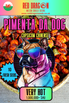 Pimenta Da Dog Chilli Seeds10 Fresh Seeds
