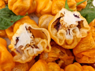 Purple Ghost Scorpion Orange Chilli Seeds10 Fresh Seeds