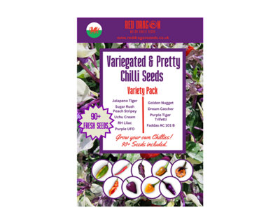 BeautifulVariegated And Pretty Chilli Pepper Seeds9 Special Chilli Varieties With 90+ Seeds from B&Q