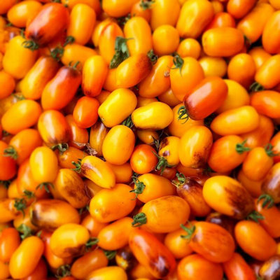 Golden Gates Tomato Seeds10 Fresh Seeds from B&Q
