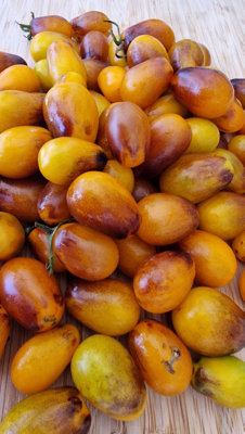  - Indigo Pear Drops Tomato Seeds15 Fresh Seeds