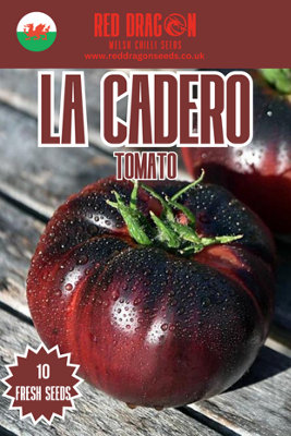  - La Cadero Tomato Seeds15 Fresh Seeds