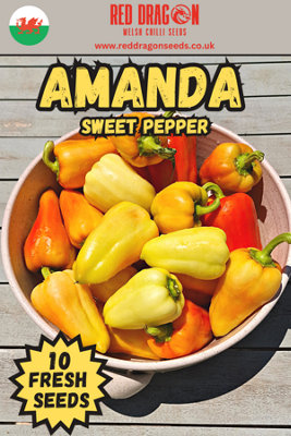  - Amanda Sweet Pepper Seeds10 Fresh Seeds