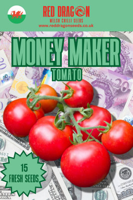  - Money Maker Tomato Seeds15 Fresh Seeds