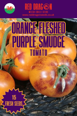  - Orange Fleshed Purple Smudge Tomato Seeds15 Fresh Seeds