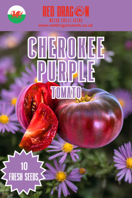  - Cherokee Purple Tomato Seeds10 Fresh Seeds