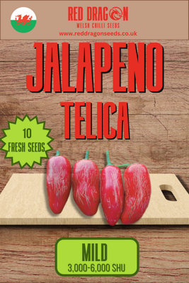 Jalapeno Telica10 Fresh Seeds from B&Q