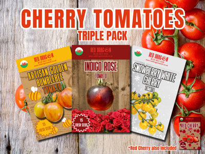 Cherry Tomato Seeds Triple Pack Golden BumblebeeIndigo RoseSnowberryRed Cherry from B&Q