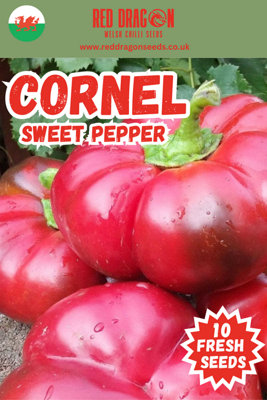  - Cornel Sweet Pepper Seeds10 Fresh Seeds