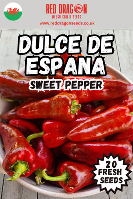  - Dulce De Espana Sweet Pepper Seeds20 Fresh Seeds