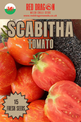 Scabitha Tomato Seeds10 Fresh Seeds from B&Q