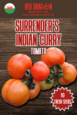 Surrender's Curry Tomato Seeds10 Fresh Seeds from B&Q