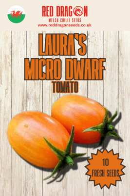 Laura's Micro Dwarf Tomato Seeds10 Fresh Seeds from B&Q