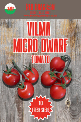 Vilma Micro Dwarf Tomato Seeds10 Fresh Seeds from B&Q