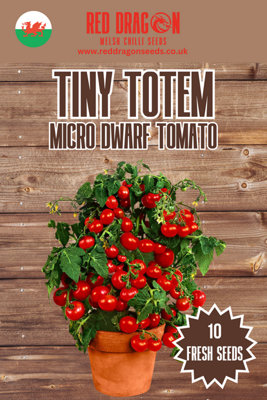 Tiny Totem Micro Dwarf Tomato Seeds10 Fresh Seeds from B&Q