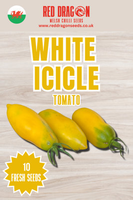  - White Icicle Tomato Seeds10 Fresh Seeds