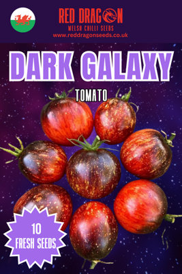  - Dark Galaxy Tomato Seeds10 Fresh Seeds