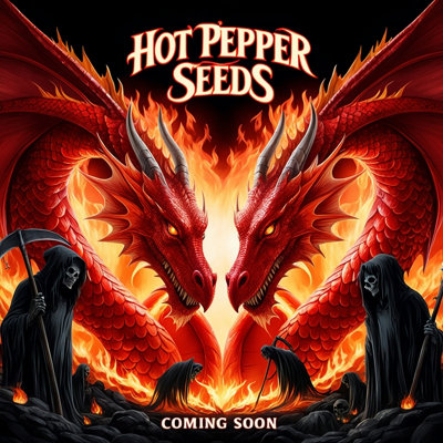 Jays Red Ghost Scorpion Chilli Seeds10 Fresh Seeds