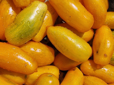  - San Marzano Yellow Tomato Seeds10 Fresh Seeds