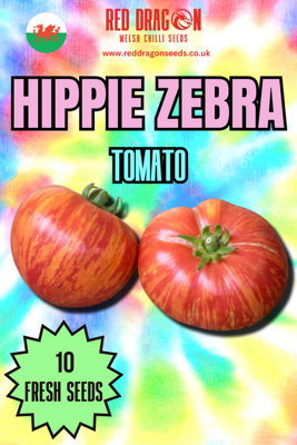  - Hippie Zebra Tomato Tomato Seeds10 Fresh Seeds