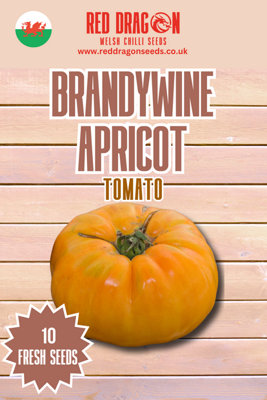  - Brandywine Apricot Tomato Seeds10 Fresh Seeds