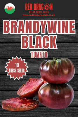  - Brandywine Black Tomato Seeds10 Fresh Seeds