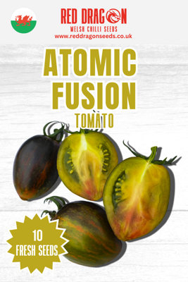  - Atomic Fusion Tomato Seeds10 Fresh Seeds
