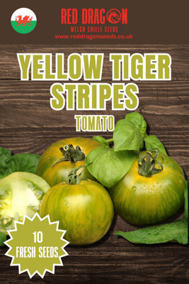Yellow Tiger Stripes Tomato Seeds10 Fresh Seeds from B&Q