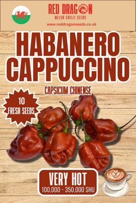 Habanero Cappuccino Chilli Seeds10 Fresh Seeds from B&Q