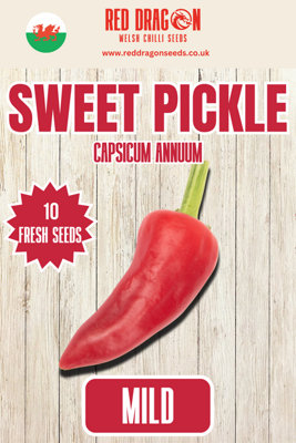  - Sweet Pickle Chilli Seeds10 Fresh Seeds