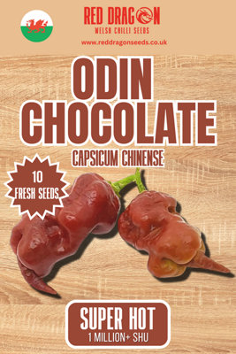 Odin Chocolate Chilli Seeds10 Fresh Seeds