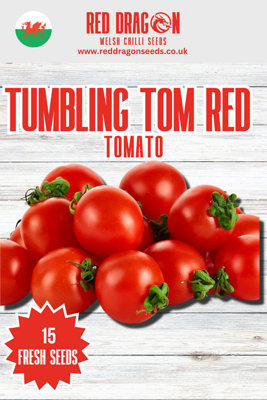  - Tumbling Tom Red Tomato Seeds15 Fresh Seeds