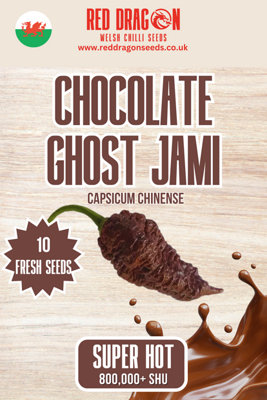 Chocolate Ghost Jami Chilli Seeds10 Fresh Seeds
