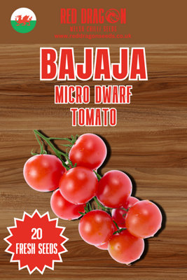 Bajaja Micro Dwarf Tomato Seeds20 Fresh Seeds from B&Q