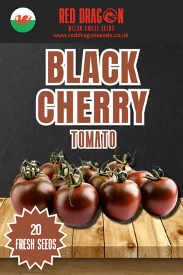 Black Cherry Tomato Seeds20 Fresh Seeds from B&Q