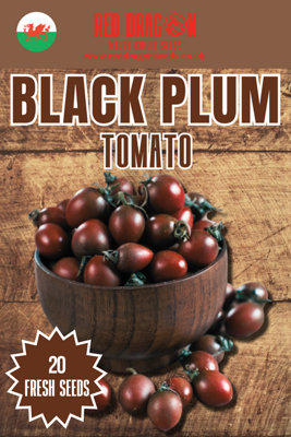  - Black Plum Tomato Seeds20 Fresh Seeds