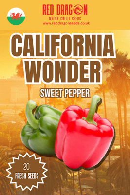 California Wonder Sweet Pepper Seeds20 Fresh Seeds from B&Q